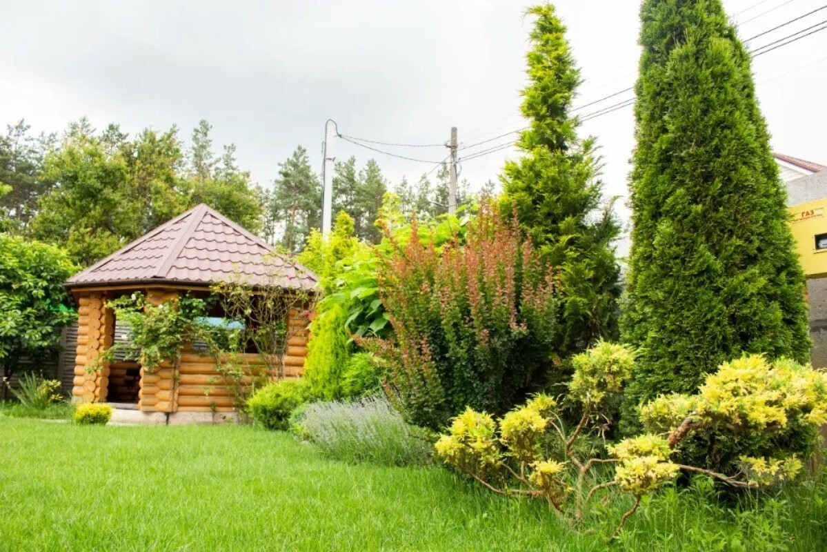 https://korolyov.tgv-stroy.ru/storage/app/uploads/public/637/ef4/fb3/637ef4fb3605f391429275.png